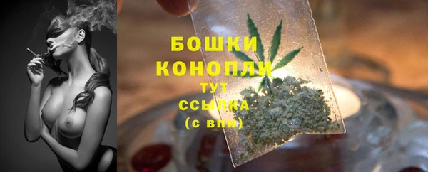 твердый Кулебаки