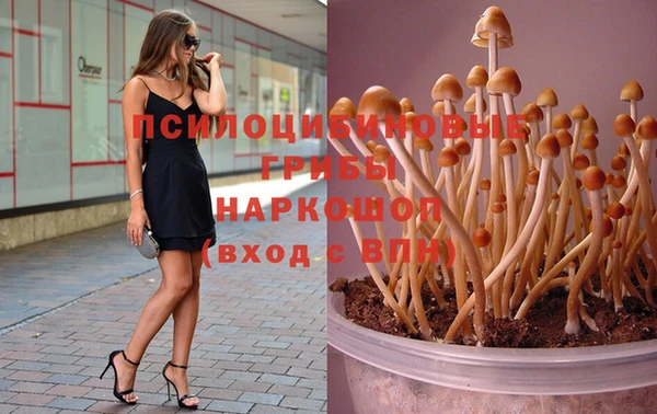 твердый Кулебаки