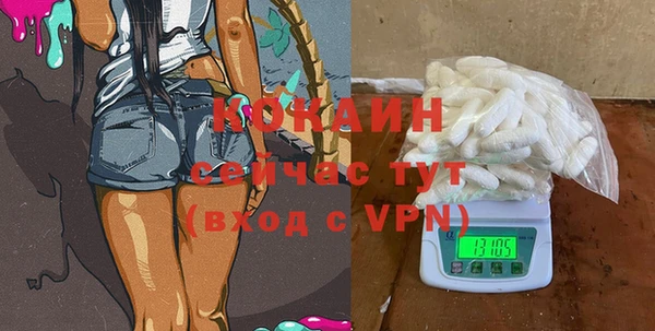 стаф Кукмор