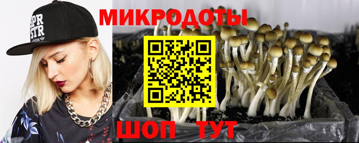 Славгород  наркошоп  Вход с VPN  Галлюциногенные грибы Cubensis 