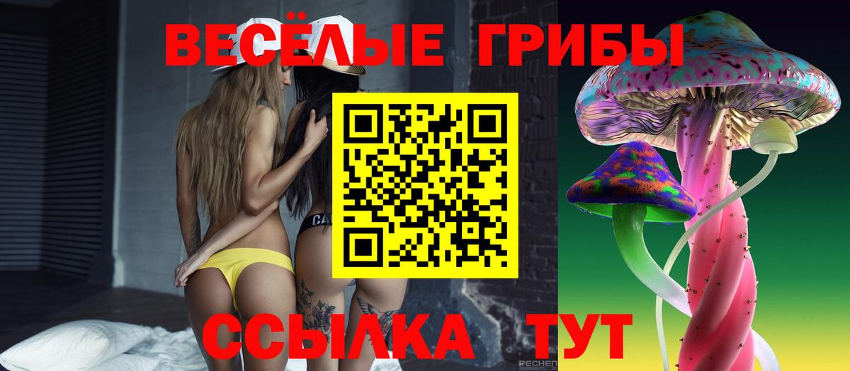 Галлюциногенные грибы Psilocybe Славгород